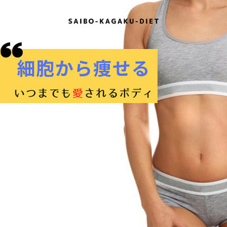 細胞からやせる！あなただけのパーソナルダイエットプログラムで夏楽しむ！