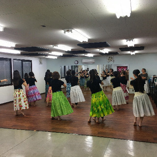 相模原市　キッズフラダンス　★マヘアラニ★　フラダンス無料体験　火曜日・水曜日　夕方　の画像