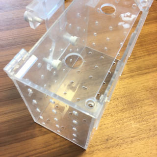 隔離ボックス　水槽内