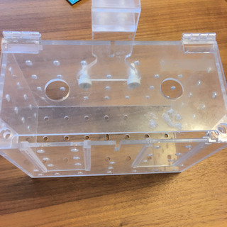 隔離ボックス　水槽内の画像