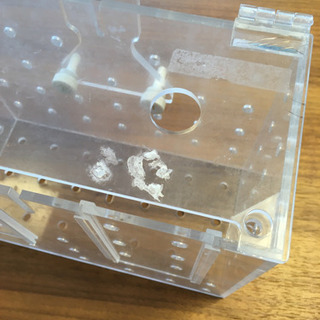 隔離ボックス　水槽内の画像