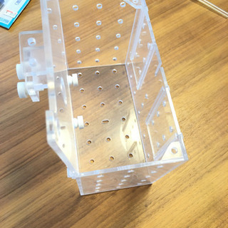 隔離ボックス　水槽内の画像