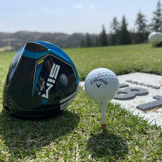 平日ゴルフ　ラウンド　仲間募集⛳️