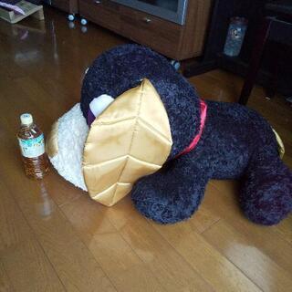 デッカイお茶犬のぬいぐるみ
