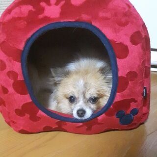 どんな小さなお困り事も！べんりーずへ