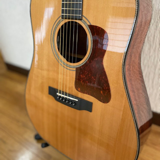 更に値下げ❗️ヘッドウェイHD 5080SE NA（現行型）ピックアップ内蔵の画像