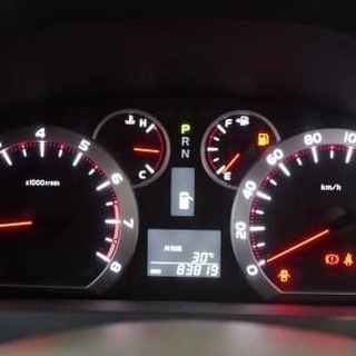 ほんまでっか！？の画像