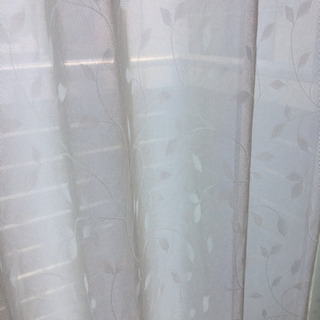 カーテン 黄緑の画像