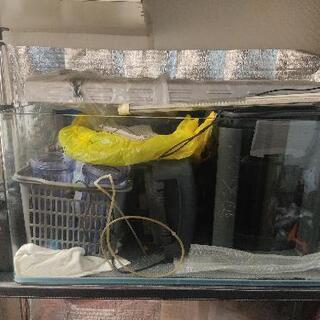 90水槽一式+飼育用品　水草　大型魚　繁殖用　引き取り限定