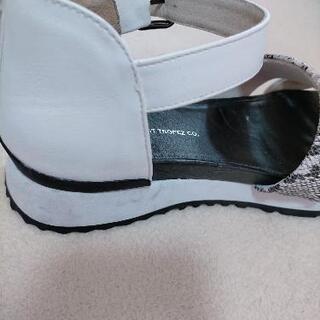 HIPS　白×パイソン　Ｌの画像