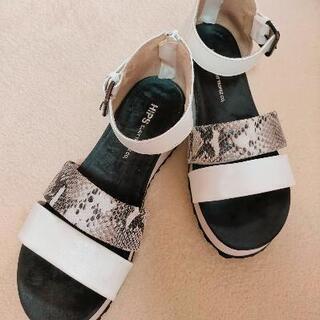 HIPS　白×パイソン　Ｌ