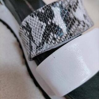 HIPS　白×パイソン　Ｌの画像