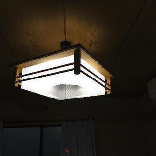 照明