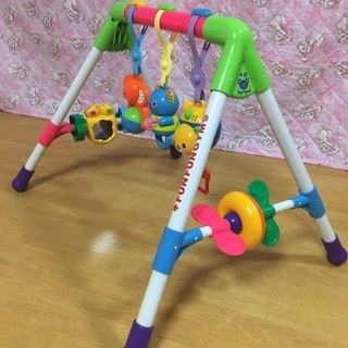 ファンファンジムの画像
