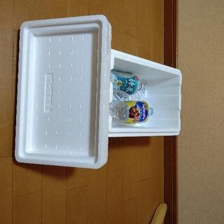 発泡スチロール  小型  保冷剤付き