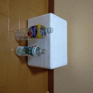 発泡スチロール  小型  保冷剤付きの画像
