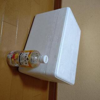 発泡スチロール  小型  保冷剤付きの画像