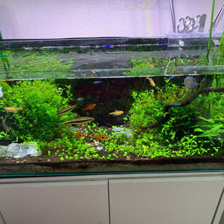 2/15までに取りに来て頂ける方のみ2万円でお譲りさせていただきます