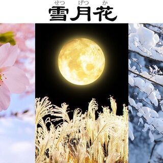 💛たった３か月程で一人で韓国旅行に行けるレベルの韓国語/日常会話の30%を本当にﾏｽﾀーしたくないですか？💛の画像