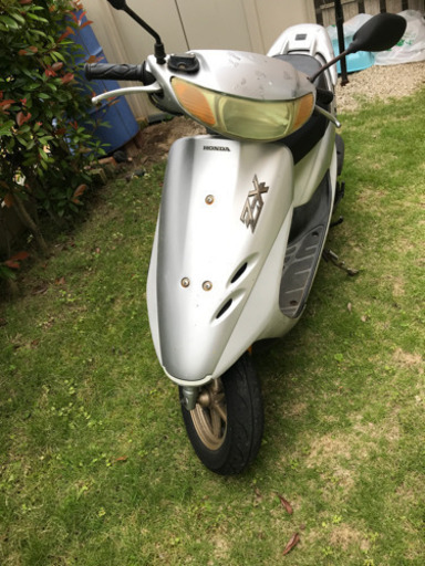 ライブディオ zx 最終型 ディスカウント