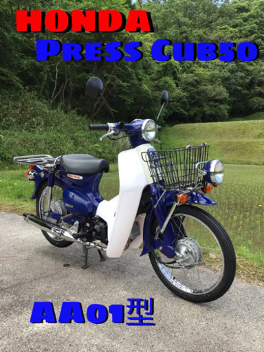 ホンダ　スーパーカブ　プレスカブ50 HONDA 整備済み！
