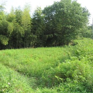 4400坪の広い土地付き仲介物件（難あり）