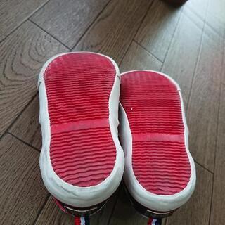 Lee  16cm  シューズの画像