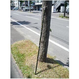 札幌【ロングタイプ 分割可能 登山杖】長さ165cm 迷彩柄 トレッキ トレッキングポール ノルディックウォーキングスティック トレッキングステッキ アウトドア ワンダーフォーゲル ワンゲル ハイキング 林業 ミリタリー柄 本郷通店の画像