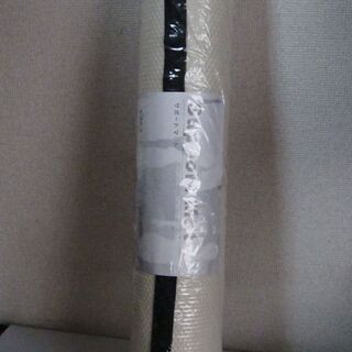 未使用☆エクサボディ レッグマジックX サポートマット ホワイト...