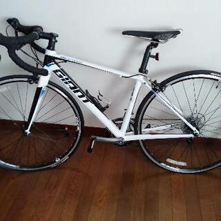 GIANT DEFY4 XS ホワイト 新古品