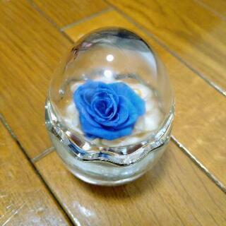 ミニミニプリザーブドフラワー(薔薇・ブルー)の画像