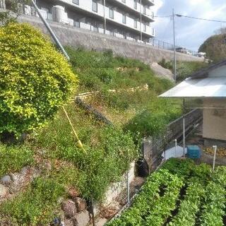 できる事なんでも致します。
