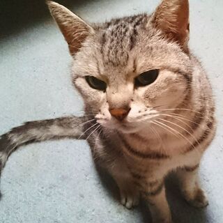 お友達募集しています。