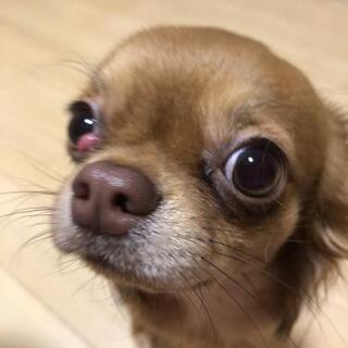 受付停止中