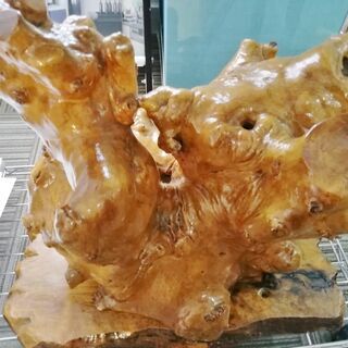 木の根のオブジェ★取りに来てくださる方に無料で差し上げます
