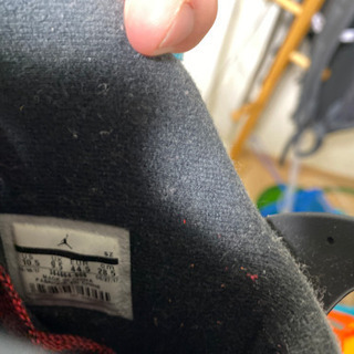 ナイキ NIKE エアジョーダン6 AIR JORDAN6の画像