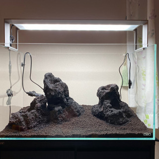 水草水槽セット