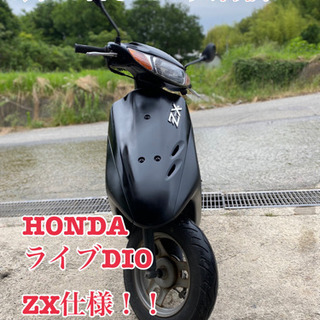 HONDA ライブDIO ホンダ ライブディオ 1
