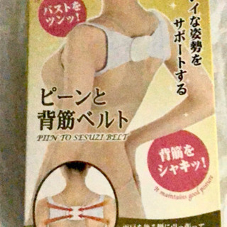 ピーンと背筋ベルト　通常タイプ