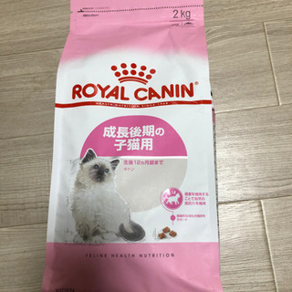 ロイヤルカナン成長後期の子猫用餌