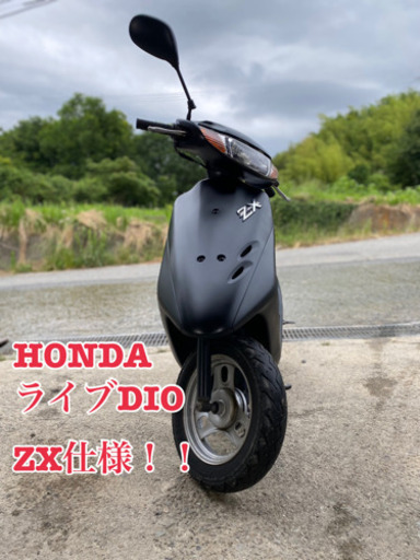 HONDA ライブDIO ZX仕様 ホンダ ライブディオ 3