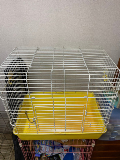 フェレット ケージ
