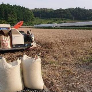 紫もち麦１kg(ダイシモチ)令和３年産　食べやすい８分精麦　今だけお値引き価格！！の画像