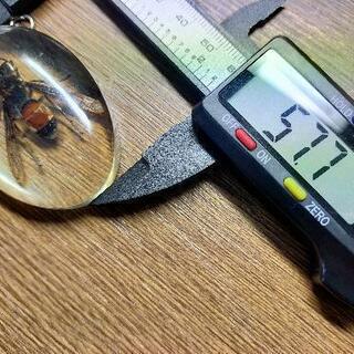ハチ入ってます( ´艸｀)の画像