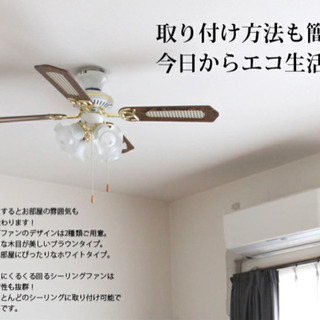 シーリングファンライト