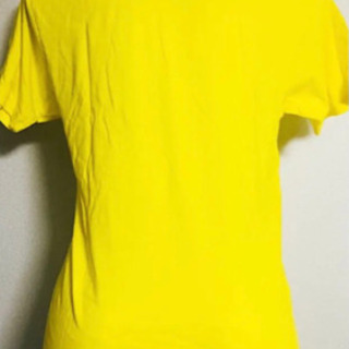 【新品未使用】めだかの学校 Tシャツの画像