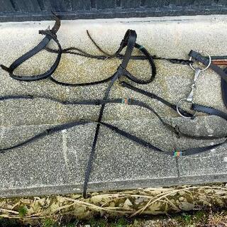 ハリソンブラウン　乗馬鞍　16 1/2 Mの画像