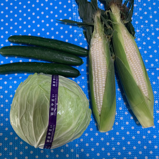 交渉中　お野菜これ＋ジャガイモ3個
