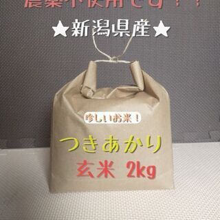 【残り1個】貴重な農薬不使用‼ つきあかり玄米2kg 令和2年度産
