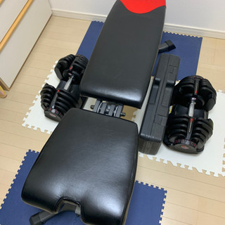 BOWFLEX ベンチ、可変式ダンベル2個(41k g)、おまけ